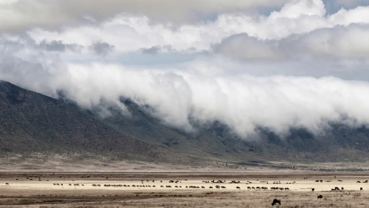 Ngorongoro Crater
