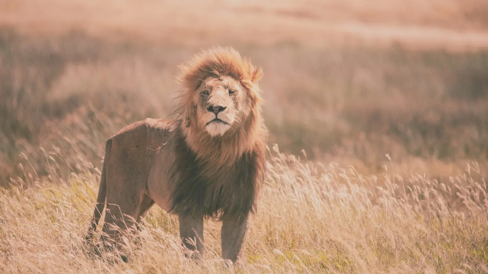 Serengeti National Park